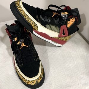 Air Jordan Spizike “Kings Country” size 12